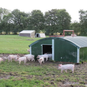 Schweinehütte, isoliert  (B 2,80 m x L 4,20 m x H 1,10 m)